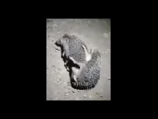 best порно нога меньше best
