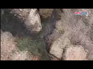 best прекратите это безобразие молодые из керчи просит остановить слив вонючей жижи на набережной best