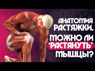best sls алкоголь влияет на гибкость растяжка и стретчинг мышцы сухожилия и связки best
