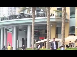 best что случится если обронить кошелек в дубаи best