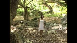best lcdv 20061 小向美奈子 minako komukai steps best