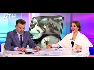 best японец мечтал о сексе с самкой таракана best