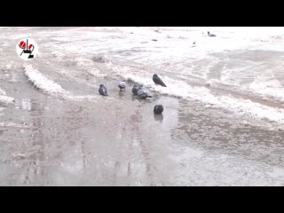 best началось голая купалась в водопаде real video best