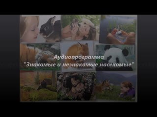 best аудиопрограмма знакомые и незнакомые насекомые экм best