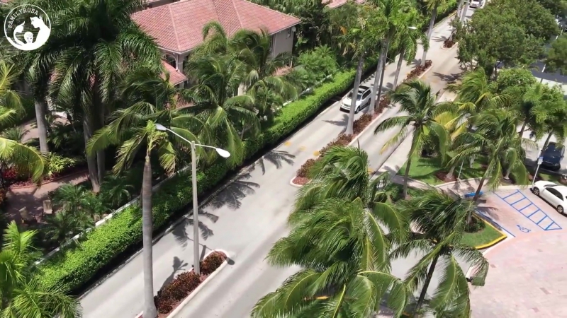 best 2 bed апартаменты sunny isles с потрясающим видом на golden beach best