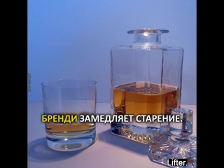 best полезные свойства алкоголя водка коньяк виски бренди ром best