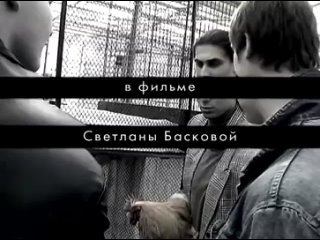 best алексей панин про фильм голова best