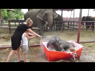 best принять ванну выпить чашечку кофэ best