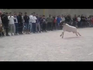 best базар жоқ ақыры кайтпай жеңіске қол жеткізді best