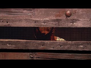 best смертельная игра смертельная тень теневые марионетки shadow puppets 2007 майкл уинник hd best