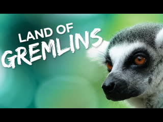 best земля гремлинов land of gremlins серия 3 холоднокровные обитатели мадагаскара madagascar in cold porn best