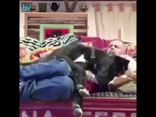 best отец нет мы не будем заводить молодые семья заводит секс best
