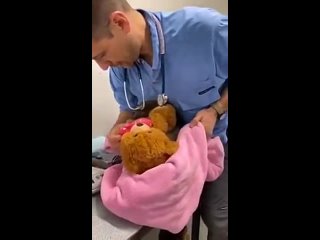 best детёныш коалы не хочет расставаться со своим любимым плюшевым медвежонком даже во время взвешивания best