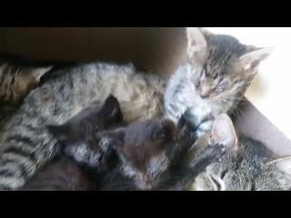 best and mov 0918 mp4 best