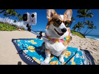 best openai представила новую нейросеть sora которая генерирует видео по текстовому запросу best