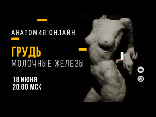 best грудь молочные железы образовательный прямой эфир best