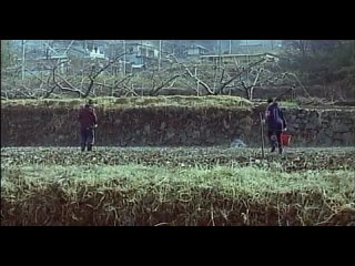 best одинокая корова плачет на рассвете a lonely cow weeps at dawn chikan gifu musuko no yome to 2003 best