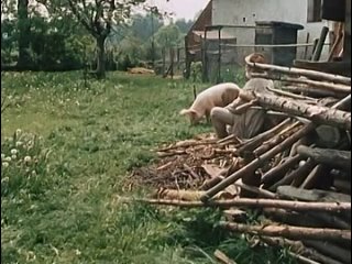 best радужный шарик duhova kulicka 1985 одноголосый перевод best