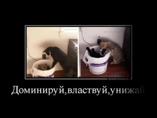 best неприличные правдивые новые русские демотиваторы вялотекущая месть наша russia best