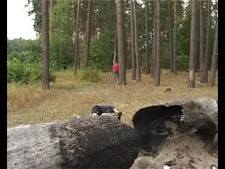 best раскидал алкашей романтика жесть ржака постмодернизм угар порно троль сиськи член жопаминет контркультура миньет best