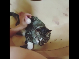 best roe waveya ari on instagram 070716 best