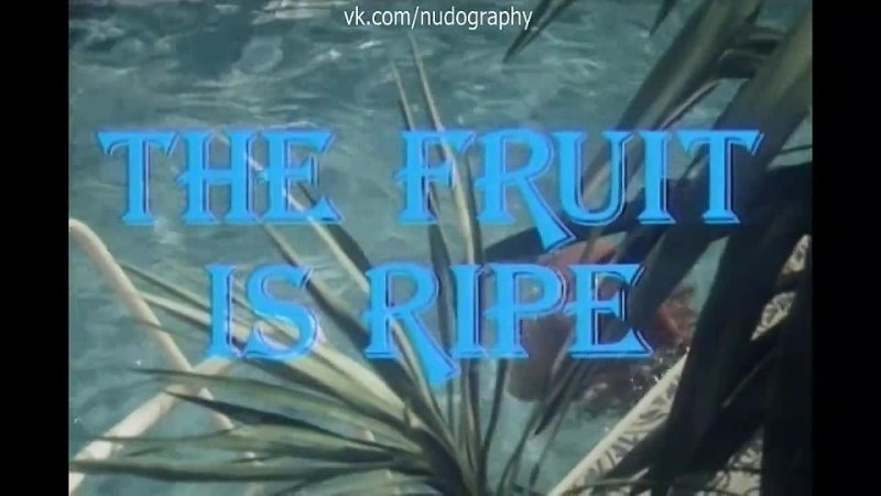 best бетти верже betty vergès в бассейне в фильме греческая смоковница griechische feigen the fruit is ripe 1977 best