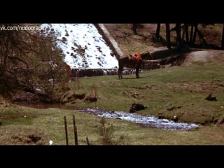 best делорес тейлор delores taylor голая в фильме билли джек billy jack 1971 том лофлин best