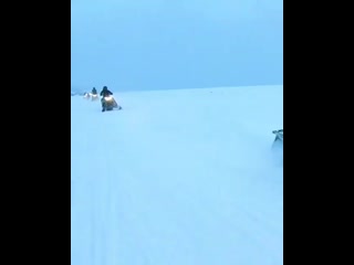 best видео от пошлый ярославль знакомства подслушано best