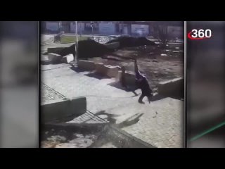 best налетел на цепь и свернул себе шею охота на электросамокатчиков объявлена в екатеринбурге best