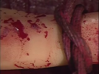 best подопытная свинка 2 цветок из плоти и крови ginî piggu 2 chiniku no hana 1985 best