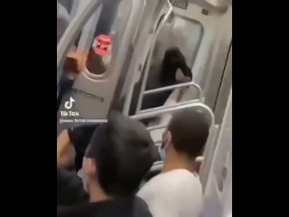 best преступления черных против белых это повседневное явление в каждом американском городе но средства массовой best