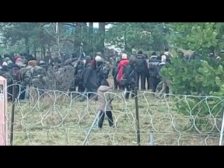 best большая группа мигрантов в сопровождении белорусских силовиков покидает палаточный лагерь в брузгах best