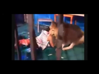 best нападения молодые на людей слабонервным не смотреть best