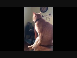 best отстань раб мне так удобней best