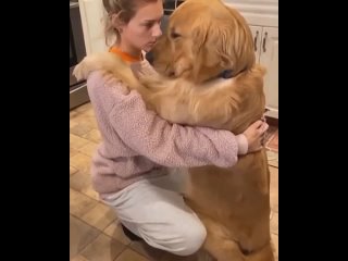 best его обидели и он пришёл просить утешения у своей любимой хозяйки best