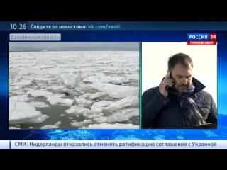 best на сахалине из ледового плена спасена косатка по имени вилли best