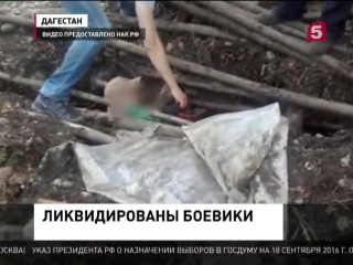 best в дагестане уничтожен главарь бандгруппы по кличке абу ясир и пятеро его соратников best