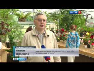 best в аптекарском огороде открылась выстаа роз и декоративных кустарников best