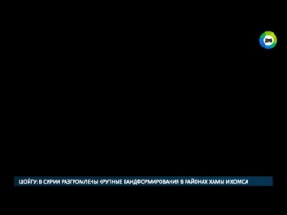 best террорист из ниццы притворился продавцом мороженого best