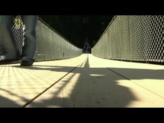 best national geographic с точки зрения науки что такое сексуальность best