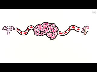 best женский и мужской оргазм что лучше asapscience best