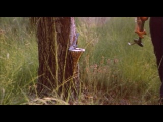 best настоящая девчонка une vraie jeune fille 1976 best