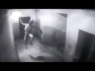 best странное существо попало в объектив камеры установленной в подъезде best