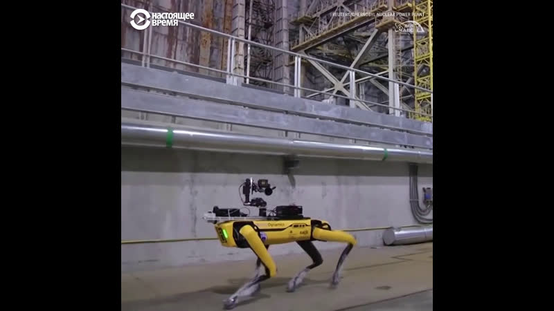 best робо пса boston dynamics отправили в чернобыль best