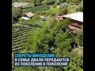 best винодел из рачи который вернул родовое поместье своей раскулаченной семьи best