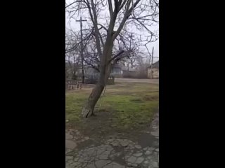 best андрееа волновахского района перешла под контроль днр best