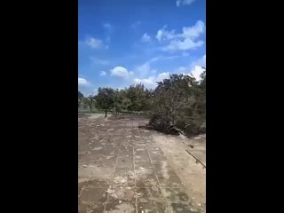 best вот до какого состояния сгорел скит свято успенской святогорской лавры подписаться предложить новость t best