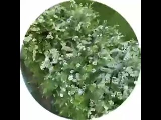 best наконец то лето наступило из параллельной реальности там где все хорошо rtrdonetsk t medonbassinfograd best