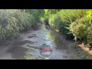 best видеоуровень воды упал на 6 7м в новой кахое за сутки уровень воды в новой кахое стал заметно меньше команда best