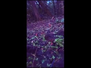 best чтоб было понятно тем кто в тылу с какими боями наши продвигаются вперед останавливаться нельзя только вперед best